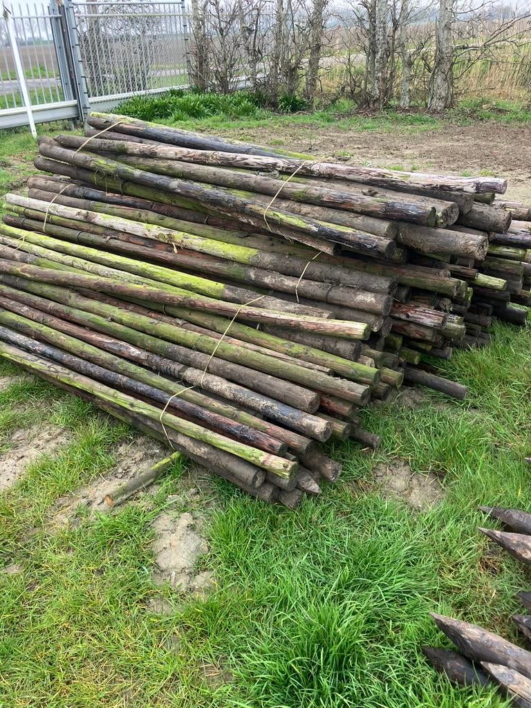 Houten palen, Tuin en Terras, Palen, Balken en Planken, Ophalen, Gebruikt, 250 cm of meer, Palen