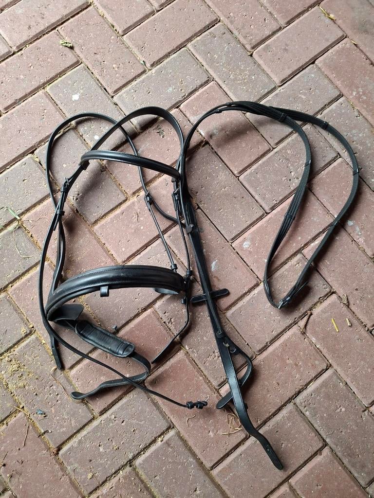 Hoofdstel met brede neusriem, Ophalen of Verzenden, Dressuur