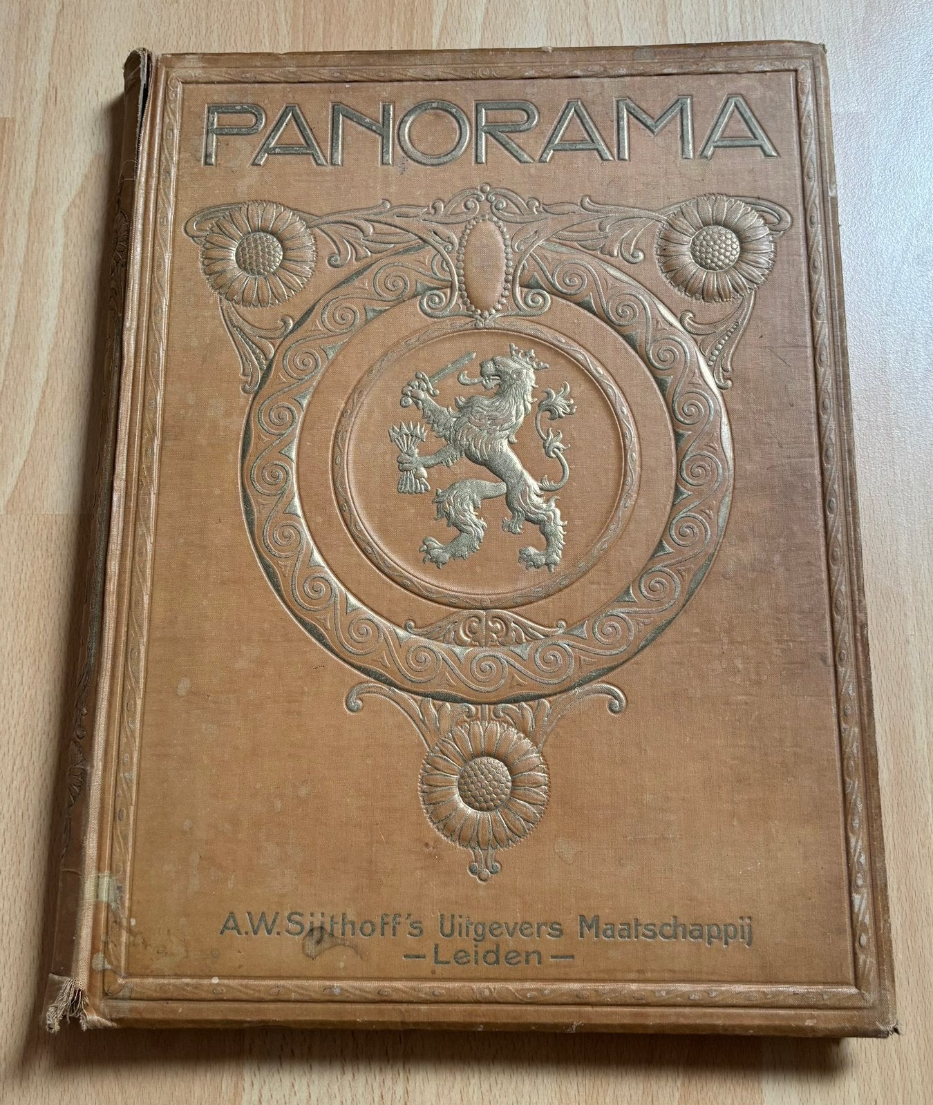 Oude Panorama’s 1914, zeldzaam, Ophalen of Verzenden