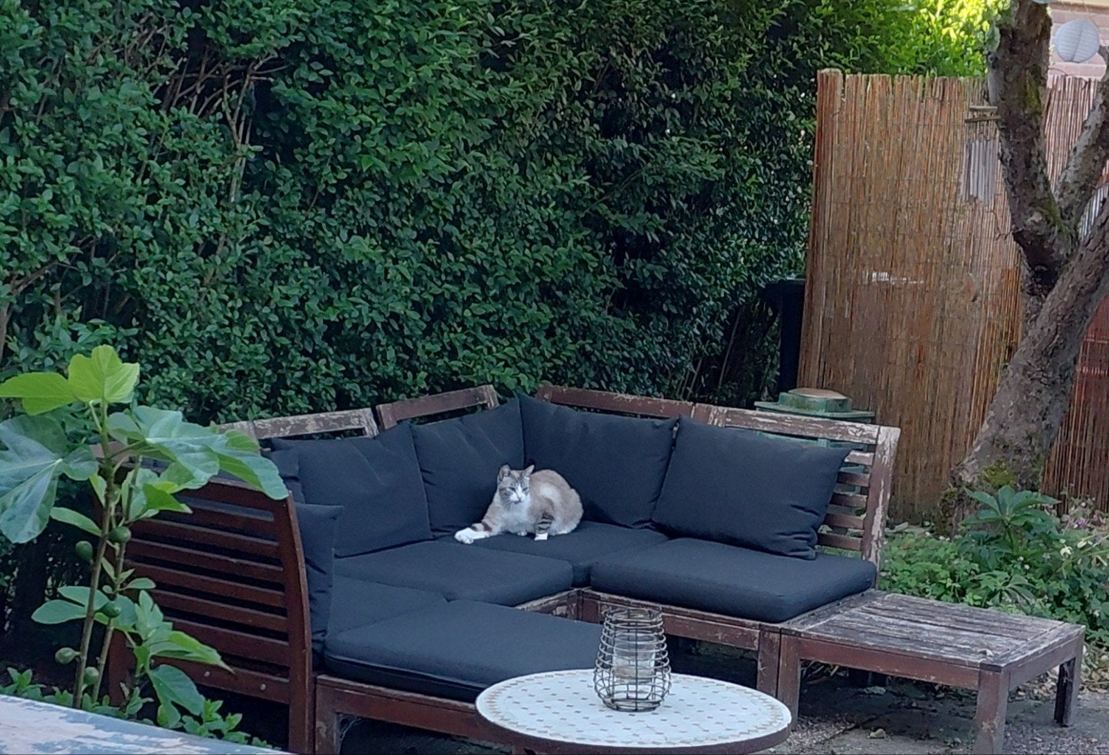 IKEA houten loungeset met kussens, Tuin en Terras, Ophalen, 4 zitplaatsen, Gebruikt, Bank