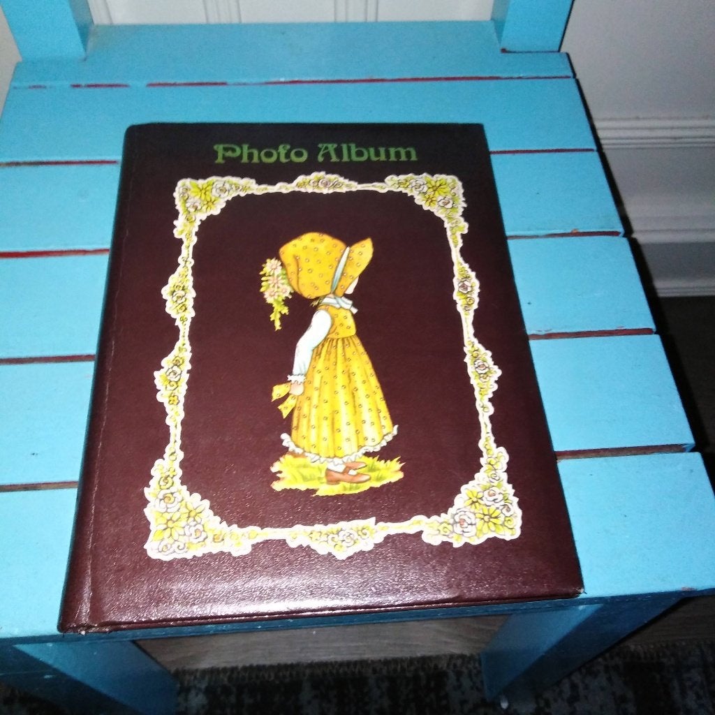 Holly Hobbie foto album, Ophalen, Overige typen
