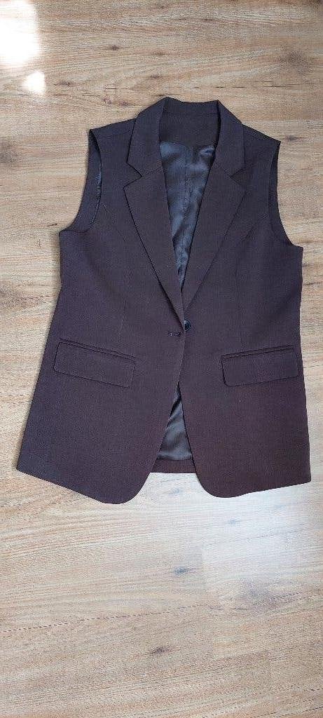 Gillet maat M/L, Kleding | Dames, Ophalen of Verzenden, Zo goed als nieuw, Maat 38/40 (M), Bruin