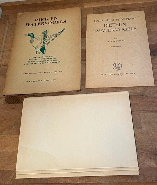 RIET- EN WATERVOGELS. Uit de serie wandplaten IV. Th. 1955 2, Gelezen, Ophalen of Verzenden, H.J. Slijper, Vogels