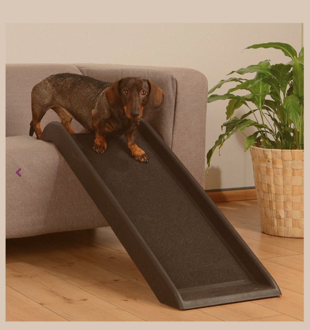 Loopplank voor de hond, Ophalen, Nieuw