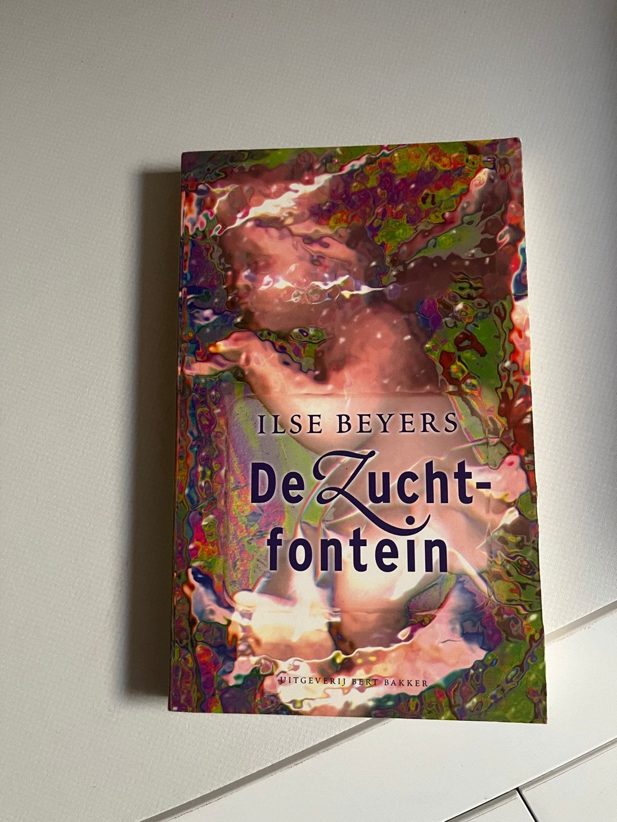 De Zuchtfontein - Ilse Beyers (Boek), Ophalen of Verzenden, Gelezen, België