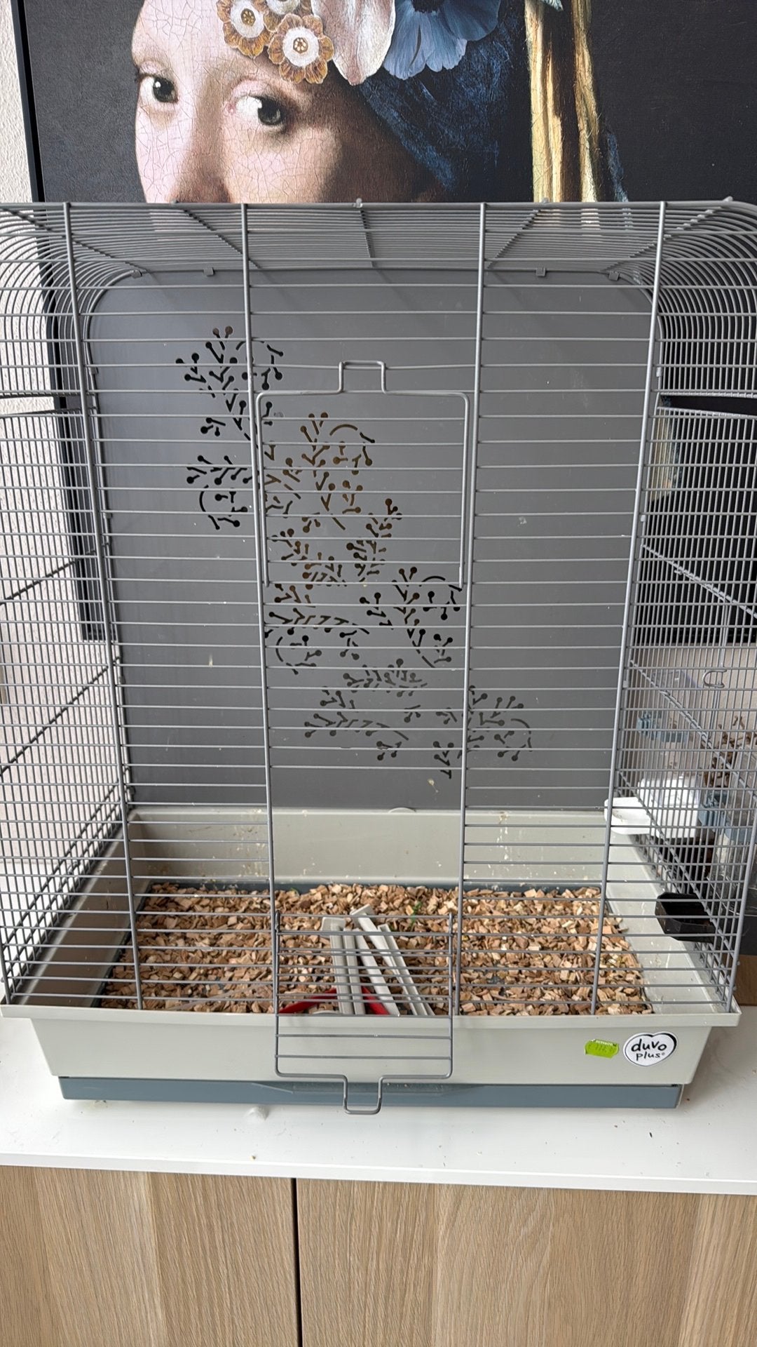 Vogelkooi, Ophalen, Zo goed als nieuw, Metaal, Vogelkooi