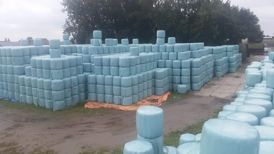 Te koop midibalen hooi, voordroog hooi., Ophalen