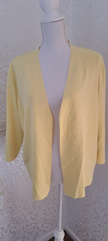 Mooie zachtgeel vestje van Gerry Weber maat 44, Kleding | Dames, Truien en Vesten, Ophalen of Verzenden