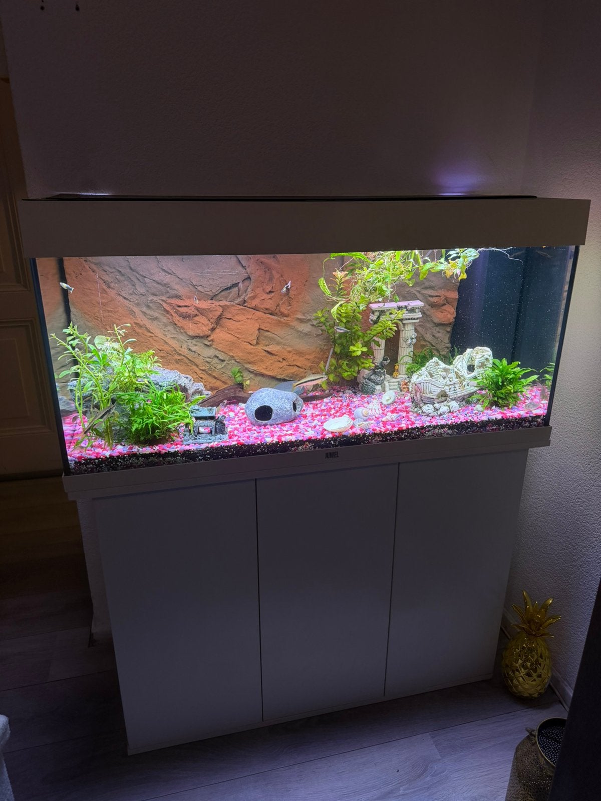 Mooi leeg aquarium, Ophalen, Zo goed als nieuw, Leeg aquarium
