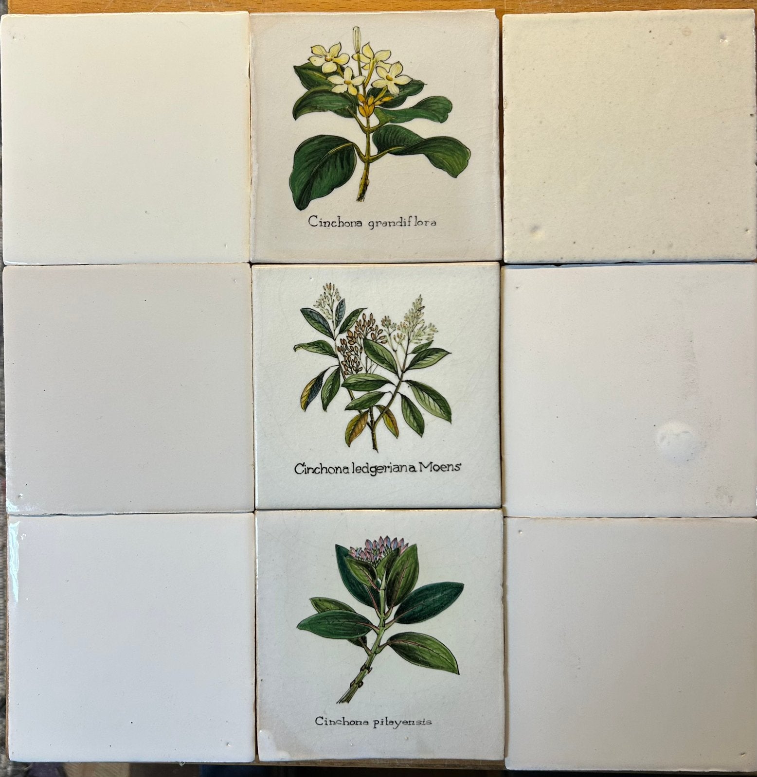 Unieke Tegeltjes van Tichelaar uit Makkum ca13x13 cm 1 cmdik, Ophalen of Verzenden