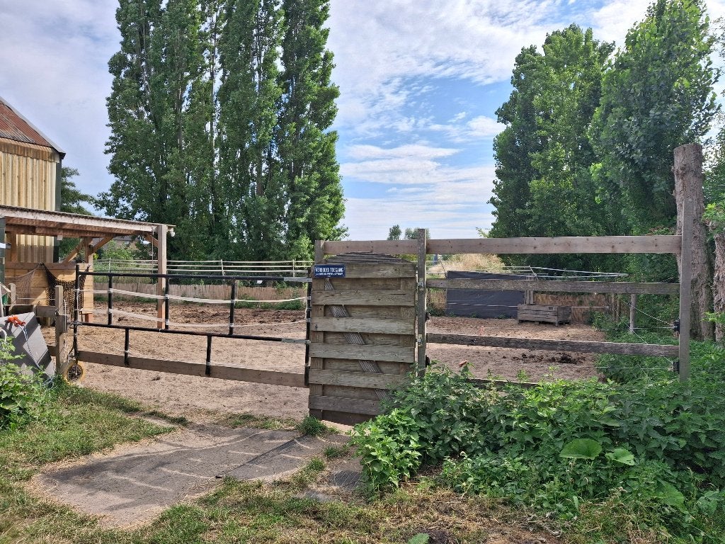 24/7 buiten paddock op stal nabij Aalsmeer, Dieren en Toebehoren, Stalling en Weidegang, Stalling, 2 of 3 paarden of pony's