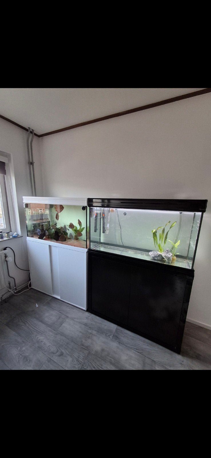 aquarium zwart 200 liter, Ophalen of Verzenden, Leeg aquarium