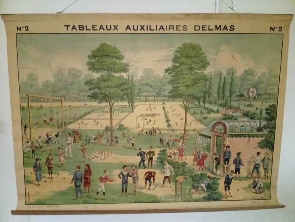 Kist met 5 schoolplaten tableaux auxiliaires delmas, Antiek en Kunst, Ophalen, Natuur en Biologie