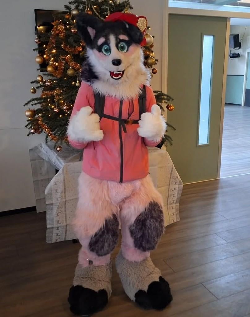 Misty fullsuit fursuit te koop, Hobby en Vrije tijd, Kostuums, Theaterbenodigdheden en LARP, Gebruikt, Overige typen, Ophalen of Verzenden