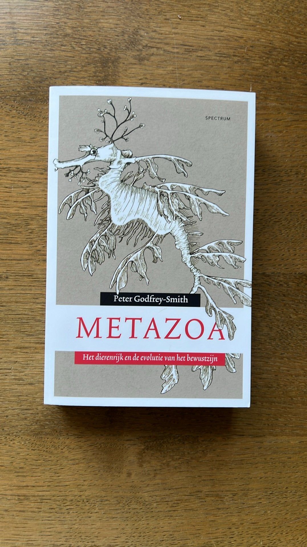 Peter Godfrey-Smith - Metazoa, Ophalen of Verzenden, Zo goed als nieuw, Natuurwetenschap, Peter Godfrey-Smith