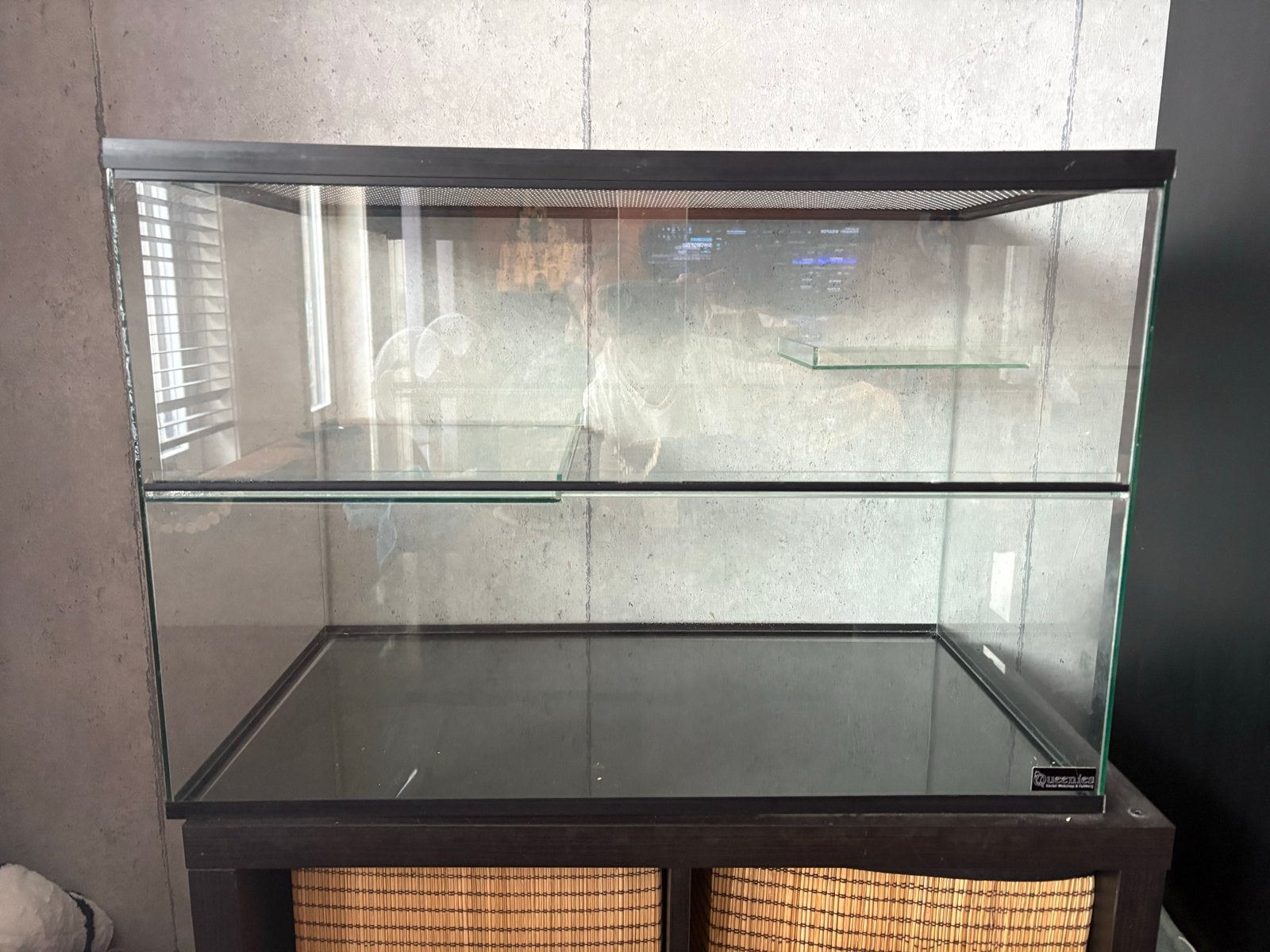 Terrarium van Queenies, Dieren en Toebehoren, Knaagdieren en Konijnen | Hokken en Kooien, Gebruikt, Minder dan 75 cm, Muis, Hok
