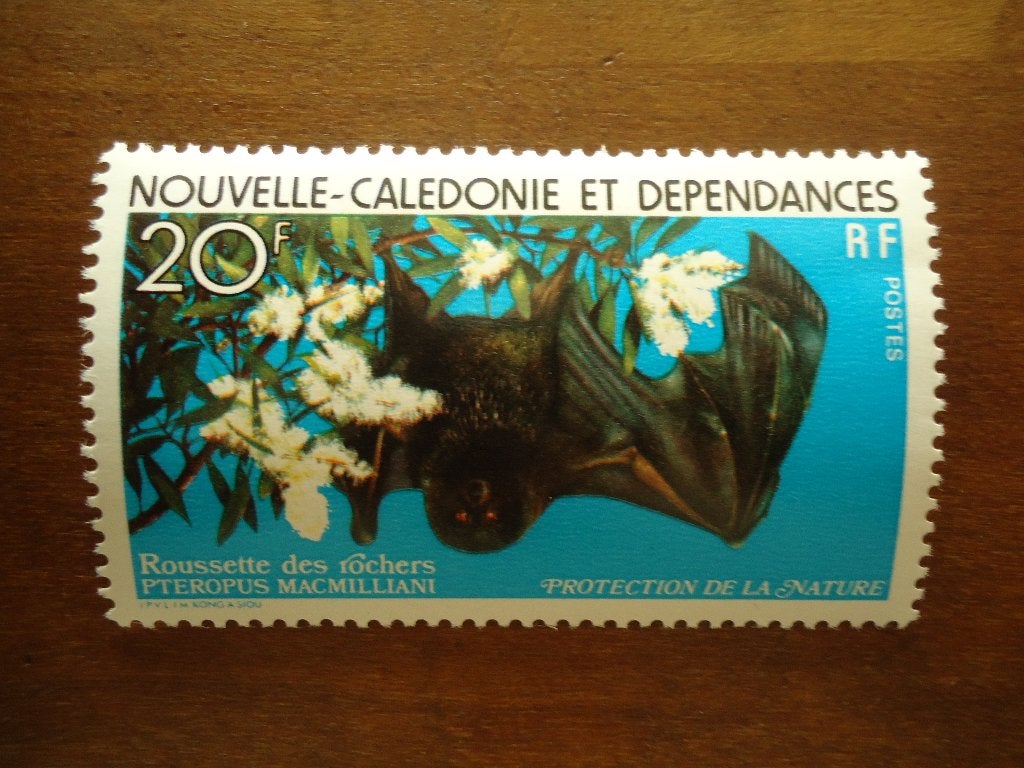 Vliegende hond Nieuw Caledonië 1978, mi. 612 postfris, Ophalen of Verzenden, Postfris, Dier of Natuur