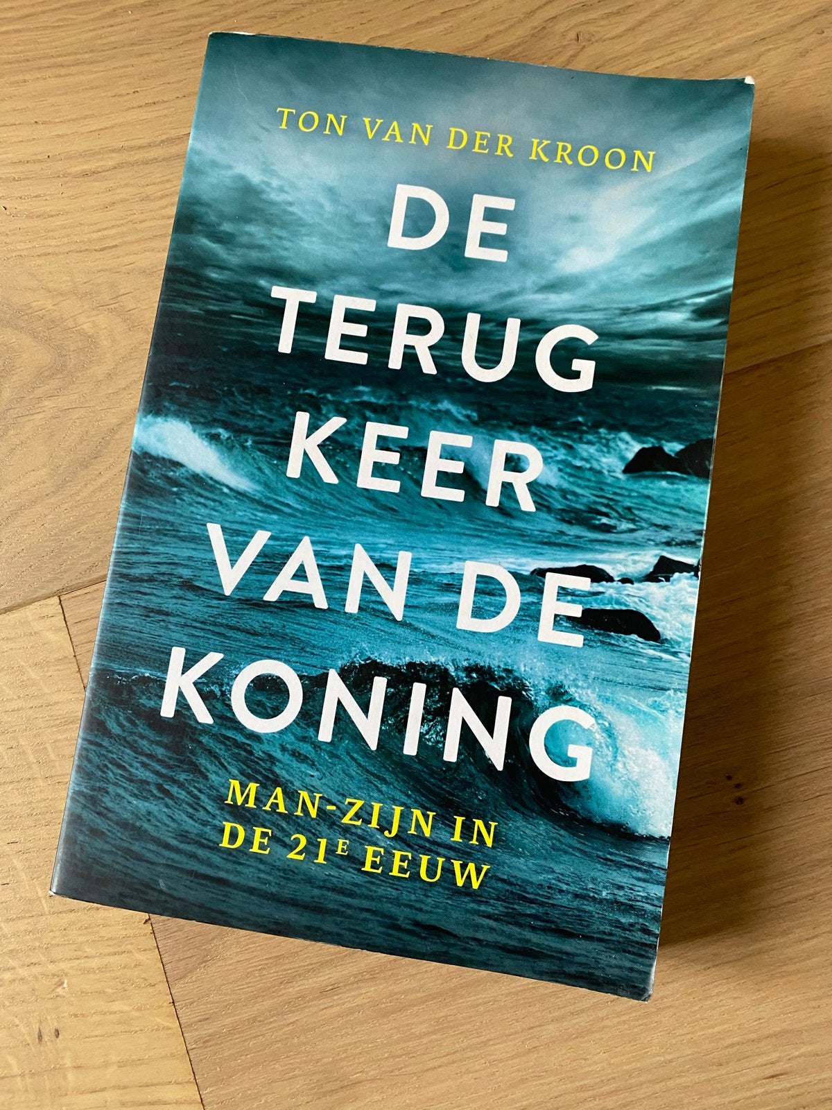 De Terugkeer van de Koning - Ton van der Kroon, Boeken, Romans, Zo goed als nieuw, Nederland, Ophalen of Verzenden
