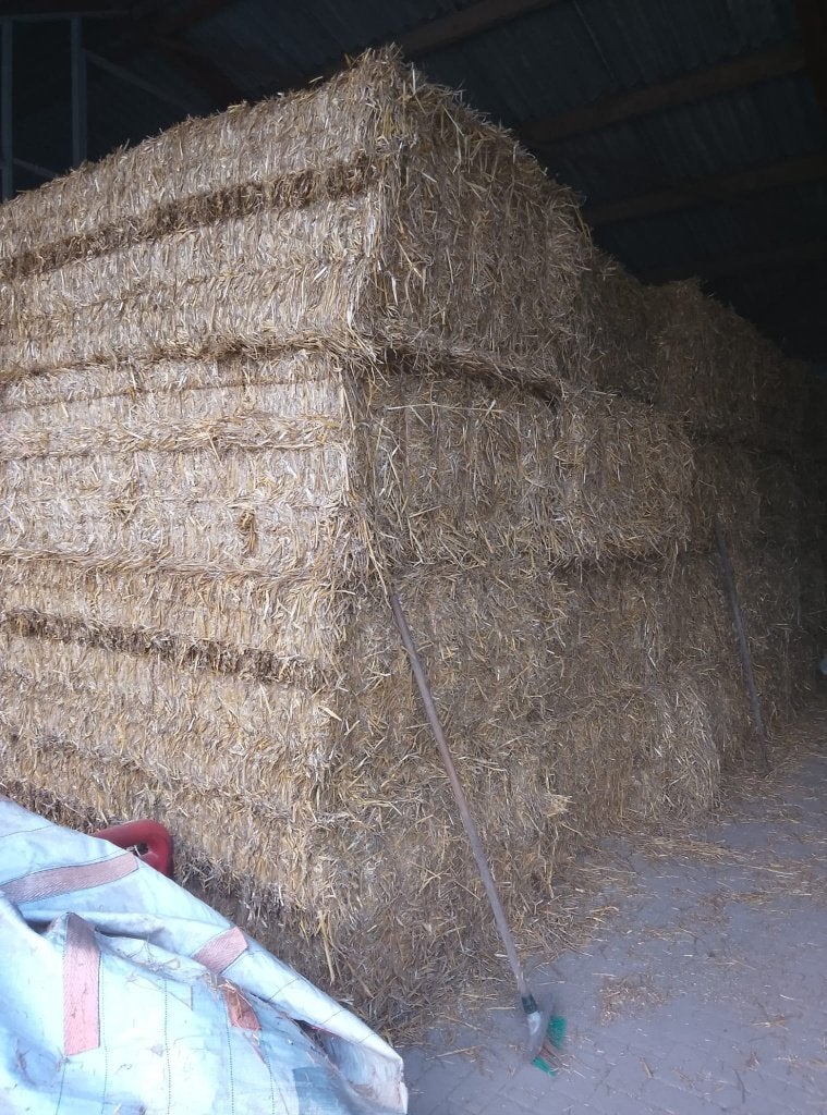 Grote balen stro, Dieren en Toebehoren, Dierenvoeding, Ophalen, Vee