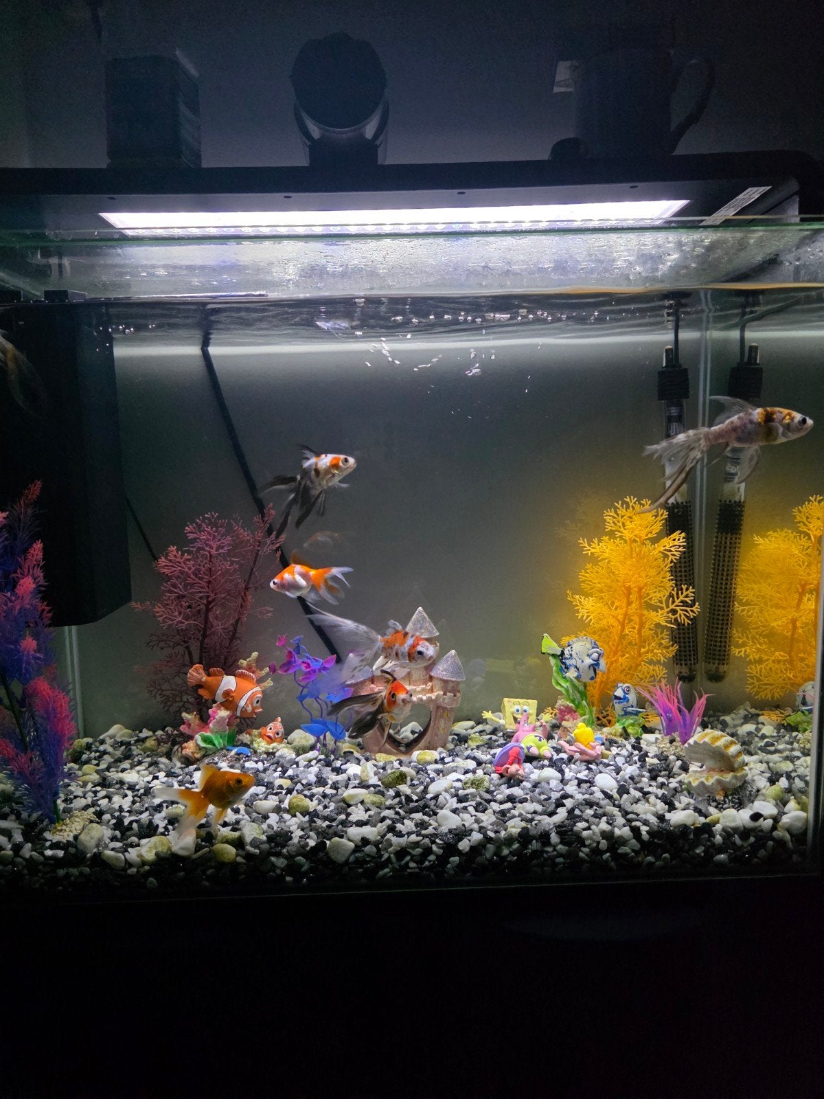SuperFish Home 80 Alleen de verlichting., Dieren en Toebehoren, Vissen | Aquaria en Toebehoren, Ophalen, Leeg aquarium