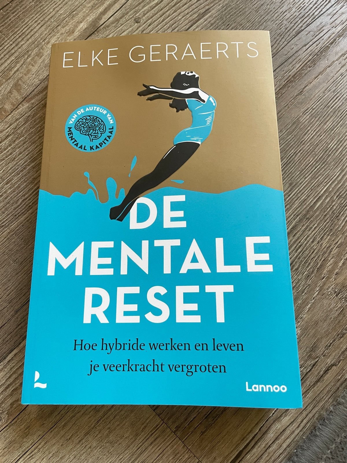 De Mentale Reset - Elke Geraerts (Lannoo), Boeken, Ophalen of Verzenden, Zo goed als nieuw, Overige uitgevers, Nederlands