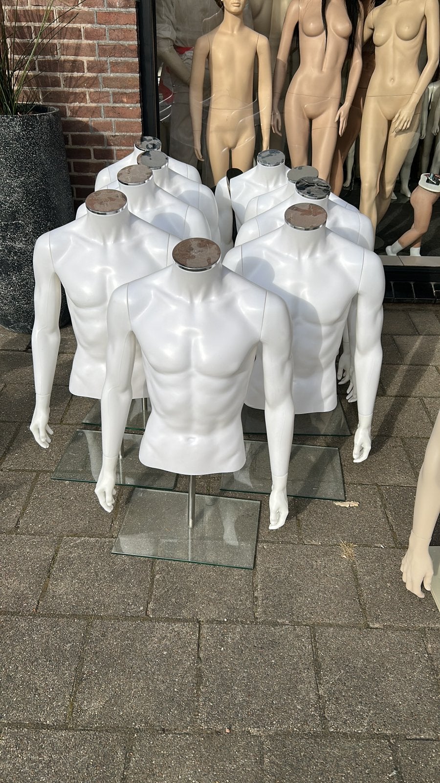 plastic heren buste / torso's met armen op standaard, ., Nieuw, Ophalen of Verzenden, .