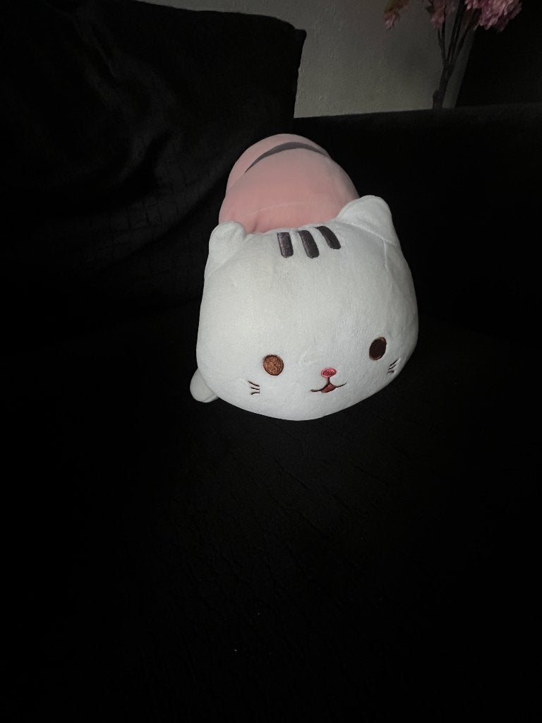 Miniso knuffel kat - Sushikat zalm, Overige merken, Overige karakters, Ophalen of Verzenden, Zo goed als nieuw