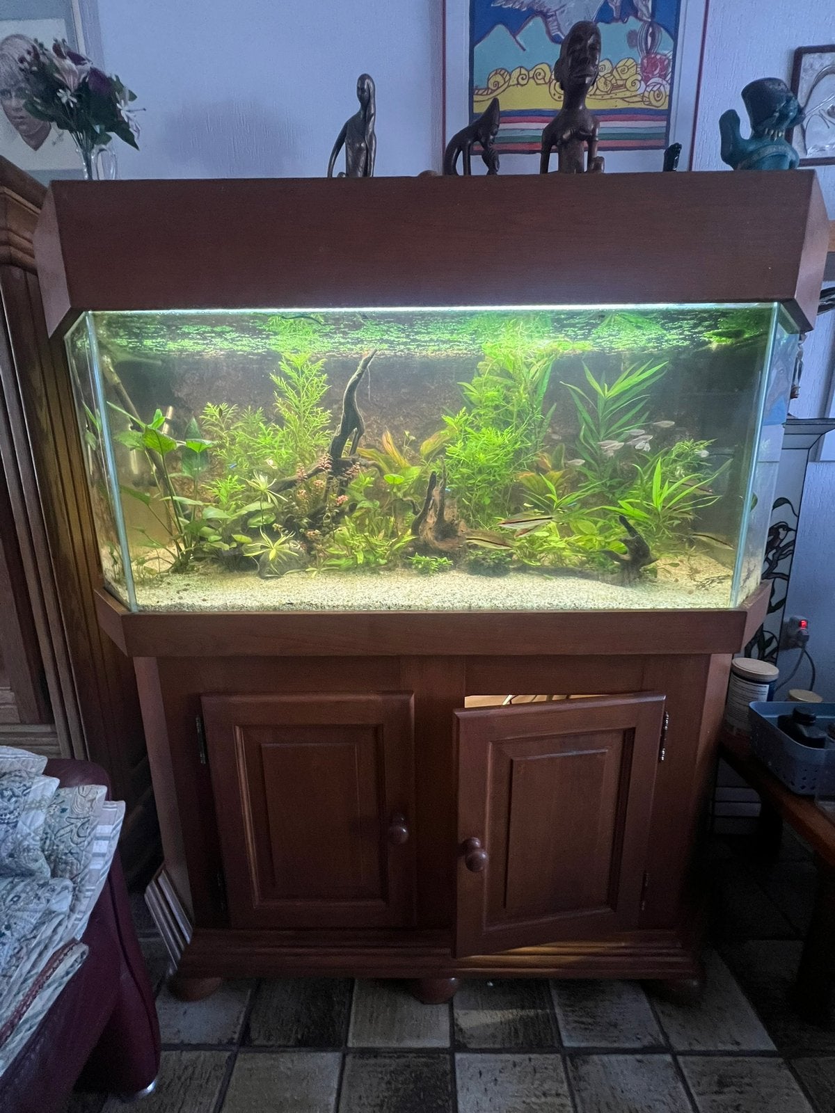 Aquarium inclusief toebehoren, Dieren en Toebehoren, Vissen | Aquaria en Toebehoren, Ophalen, Inclusief vissen, Gebruikt, Aquariummeubel