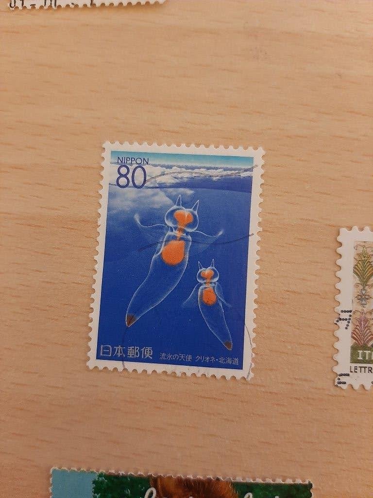 Japan, zeevlinder, sea butterfly, Clione limacina, Verzenden, Gestempeld, Oost-Azië