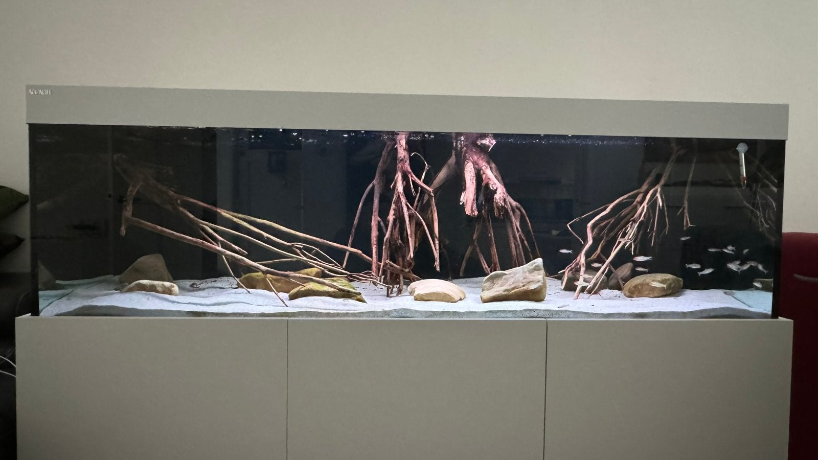 Aquarium, Dieren en Toebehoren, Reptielen en Amfibieën | Toebehoren, Zo goed als nieuw, Ophalen