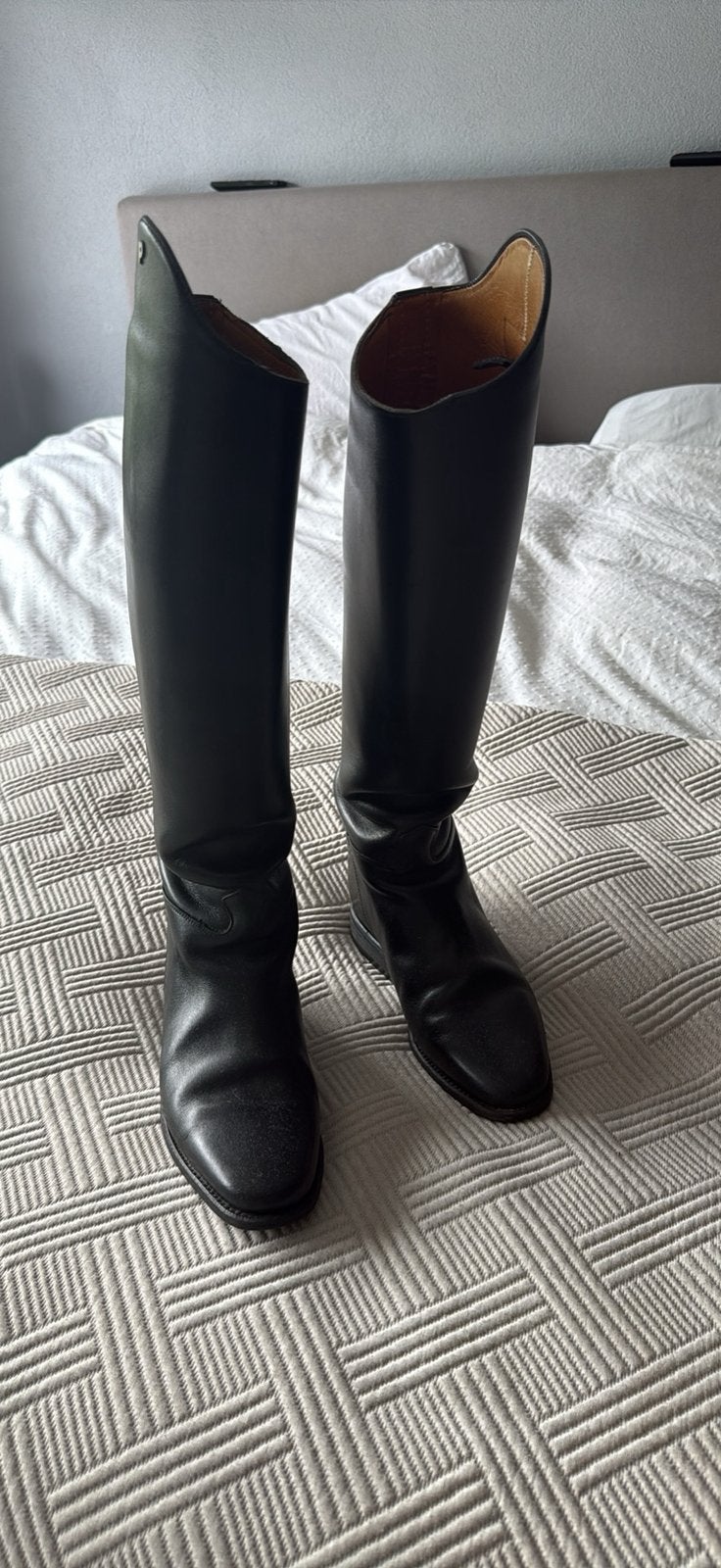 petrie 39, Dieren en Toebehoren, Paardrijkleding, Ophalen of Verzenden, Zo goed als nieuw, Dressuur, Schoeisel