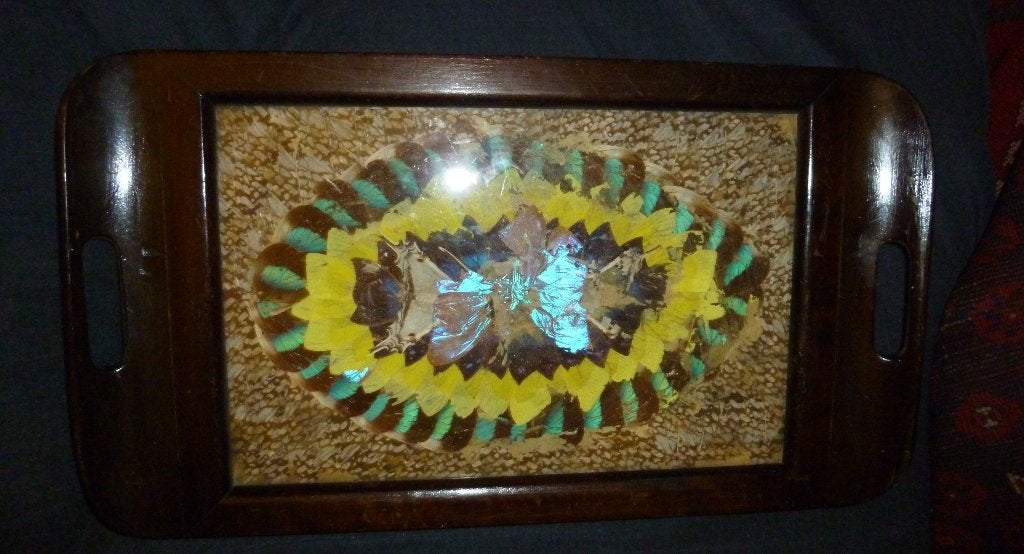 Vlindervleugels dienblad, butterfly tray colonial tourism, Ophalen of Verzenden, Rechthoekig, Hout