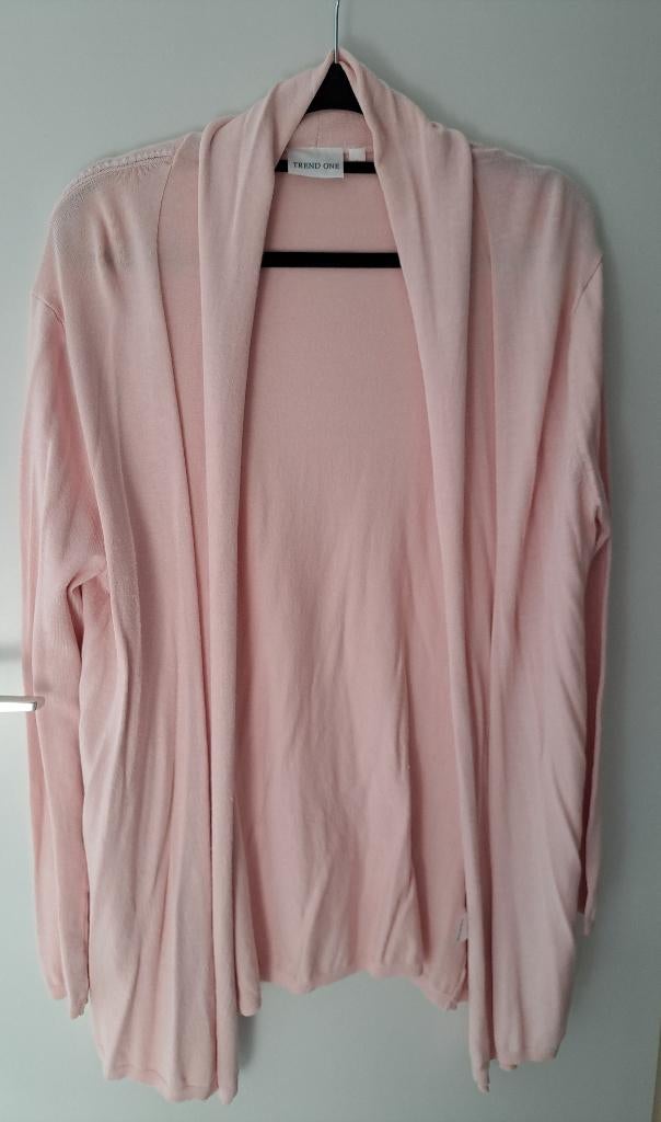 Lang Roze Dames Vest maat L, Ophalen of Verzenden, Zo goed als nieuw, Maat 42/44 (L), Roze