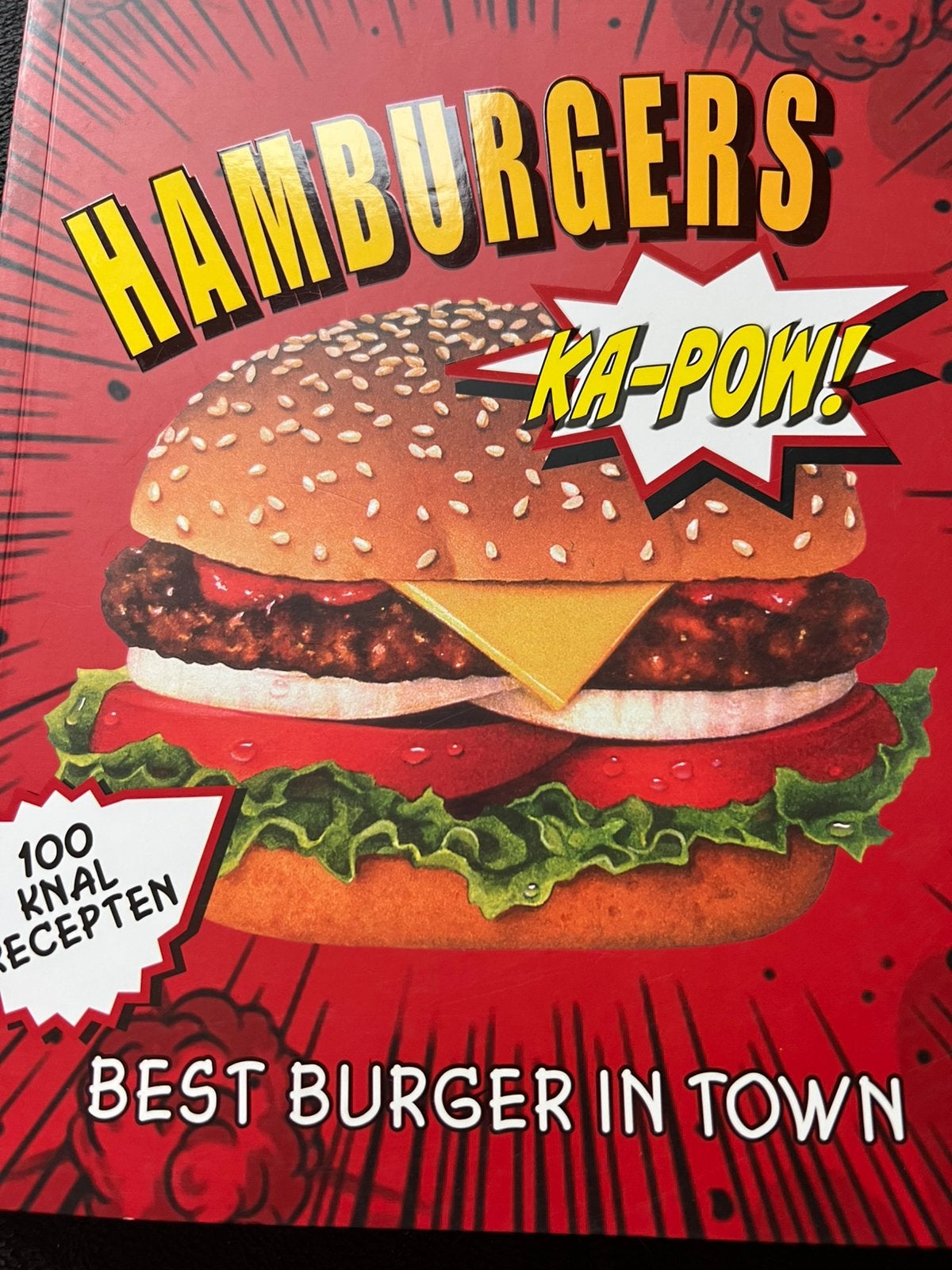 Hamburger recepten, Ophalen of Verzenden, Zo goed als nieuw