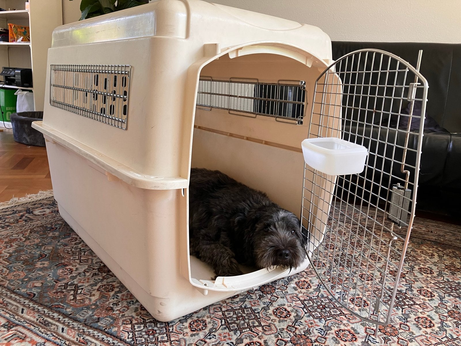Internalionaal goedgekeurde reisbench hond, Ophalen, Gebruikt