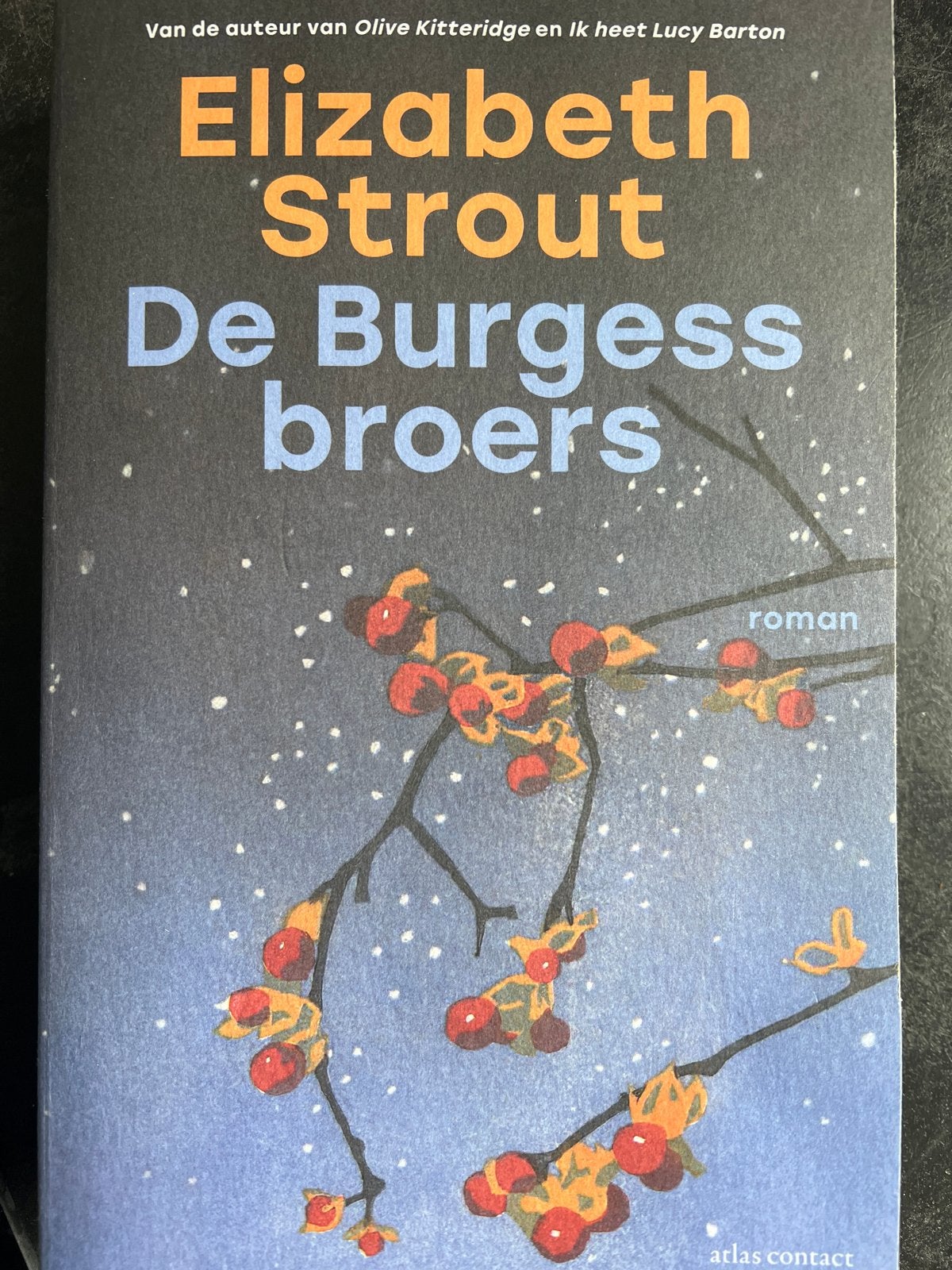 De Burgess broers - Elizabeth Strout (roman), Boeken, Ophalen of Verzenden, Zo goed als nieuw