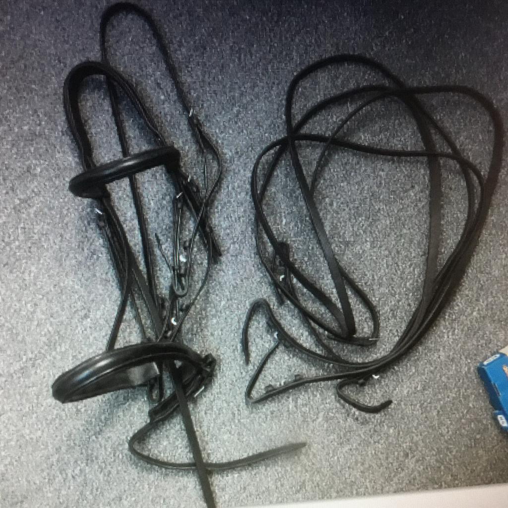 Stang trens hoofdstel full, Dieren en Toebehoren, Ophalen of Verzenden, Zo goed als nieuw, Dressuur