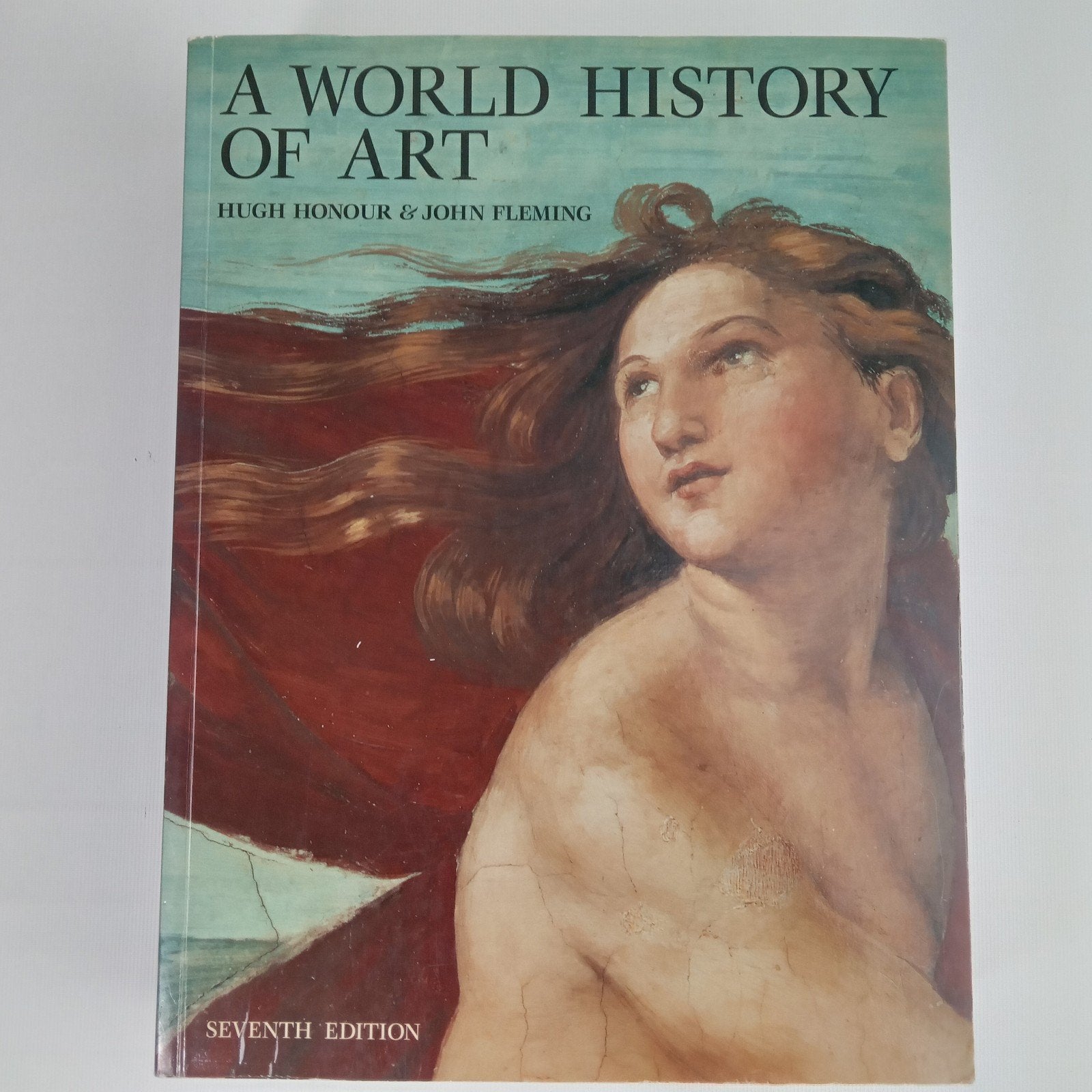A World History of Art - Hugh Honour & John Fleming, Gelezen, Ophalen of Verzenden, Hugh Honour & John Fleming, Overige onderwerpen