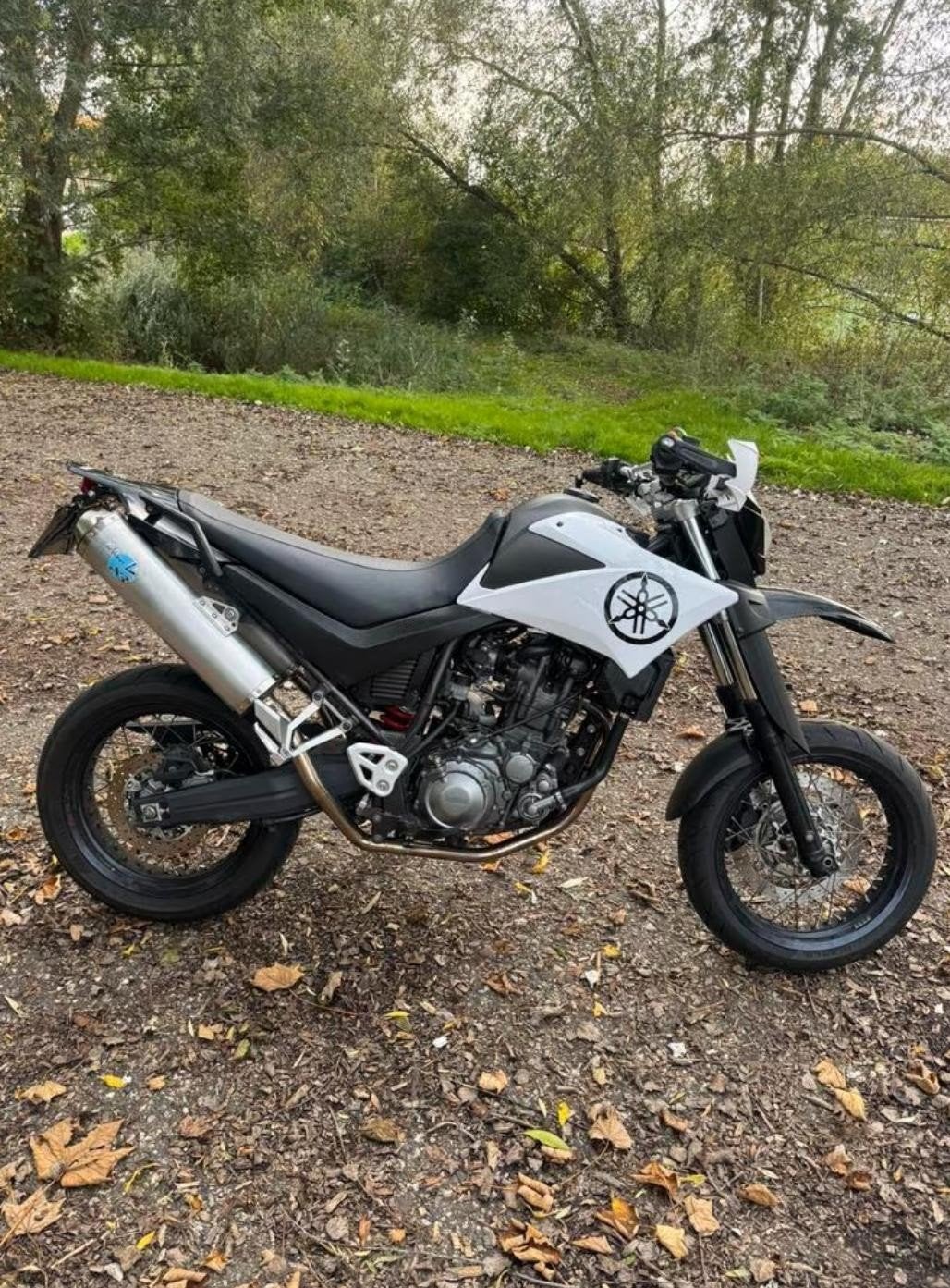 Yamaha XT660 - Leovince sport uitlaten, Ophalen, Gereviseerd