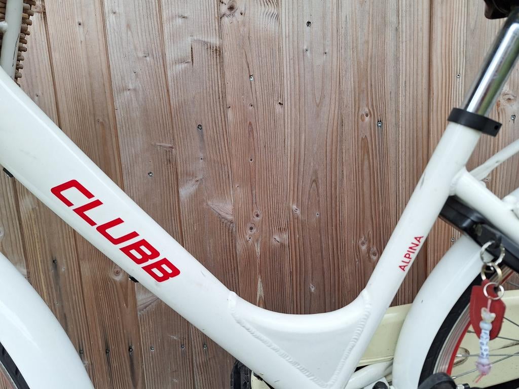 Alpine Clubb, Fietsen en Brommers, Elektrische fietsen, Minder dan 30 km per accu, Gebruikt, Minder dan 47 cm, Ophalen