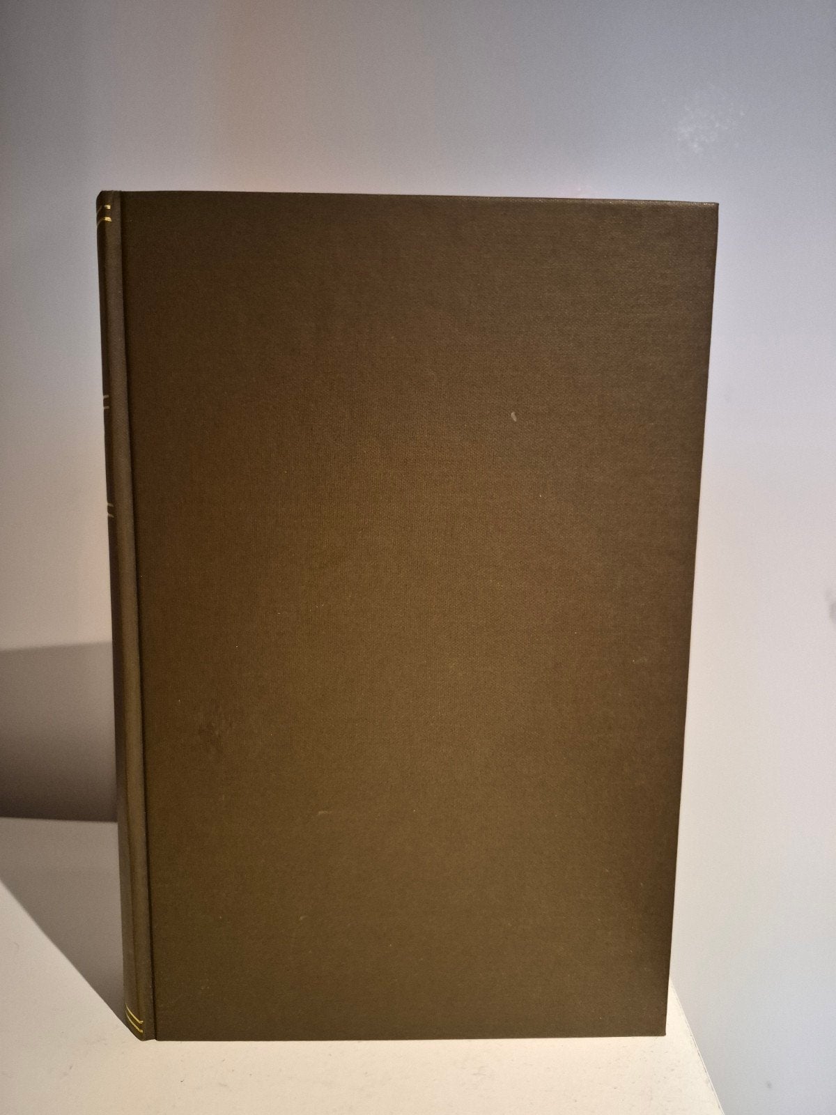 Het Zien op Jezus - Isaac Ambrosius (1925), Boeken, Ophalen of Verzenden, Gelezen, Christendom | Protestants