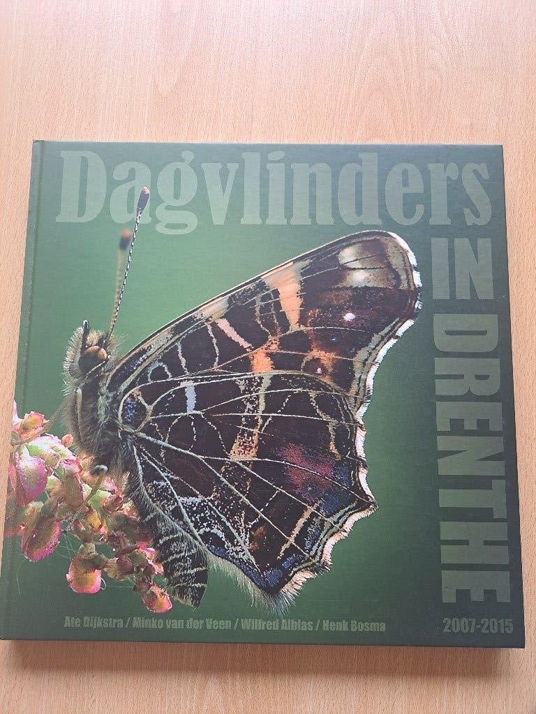 Dagvlinders in Drenthe, Vlinderwerkgroep Drenthe, Nieuw, Ophalen of Verzenden, Overige onderwerpen