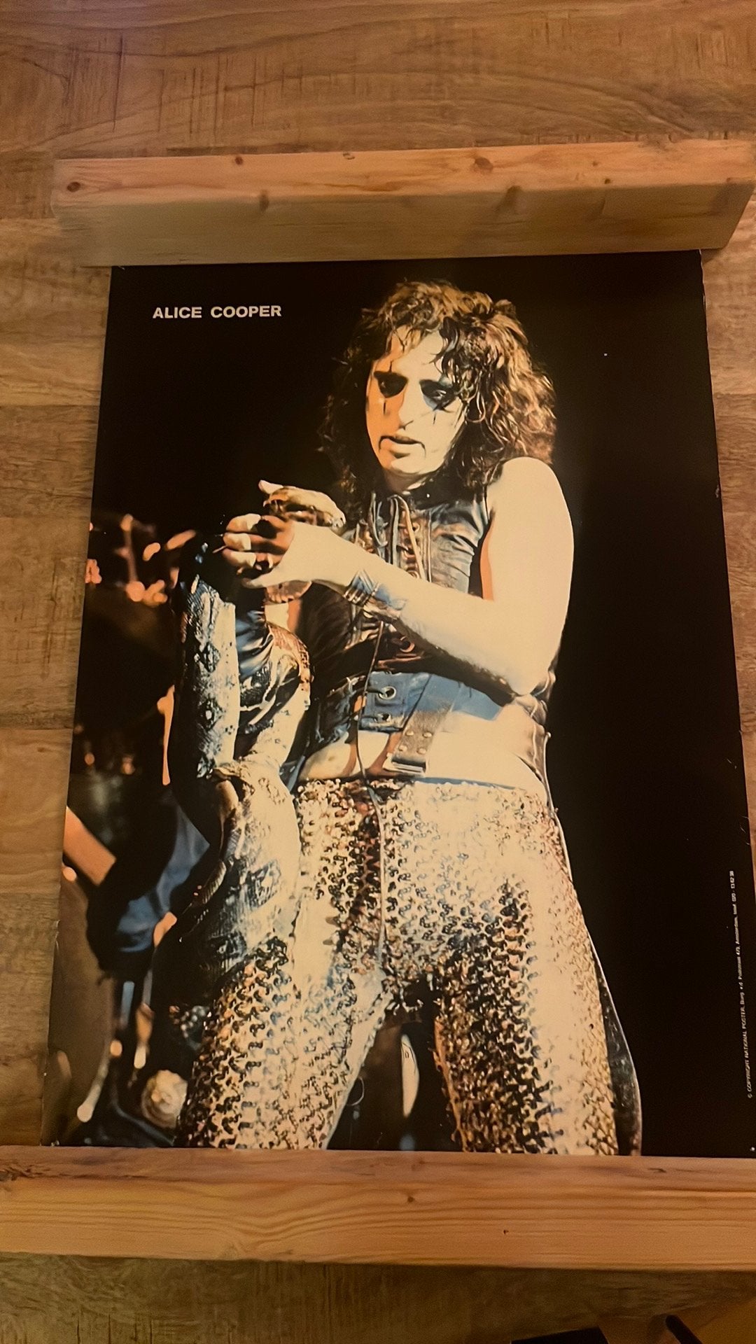 Vintage Poster Alice Cooper met slang Jaren 70, Ophalen of Verzenden, Zo goed als nieuw, A1 t/m A3
