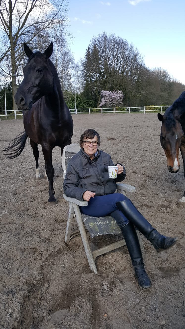 Box vrij op kleine privé pension stal aan bos buitenbak, Stalling, 4 paarden of pony's of meer
