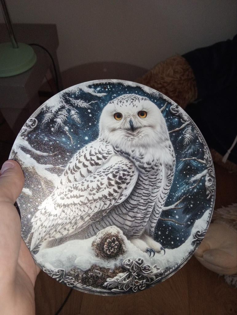 Decoratief bord met sneeuwuil - Wintertafereel, Antiek en Kunst, Ophalen of Verzenden