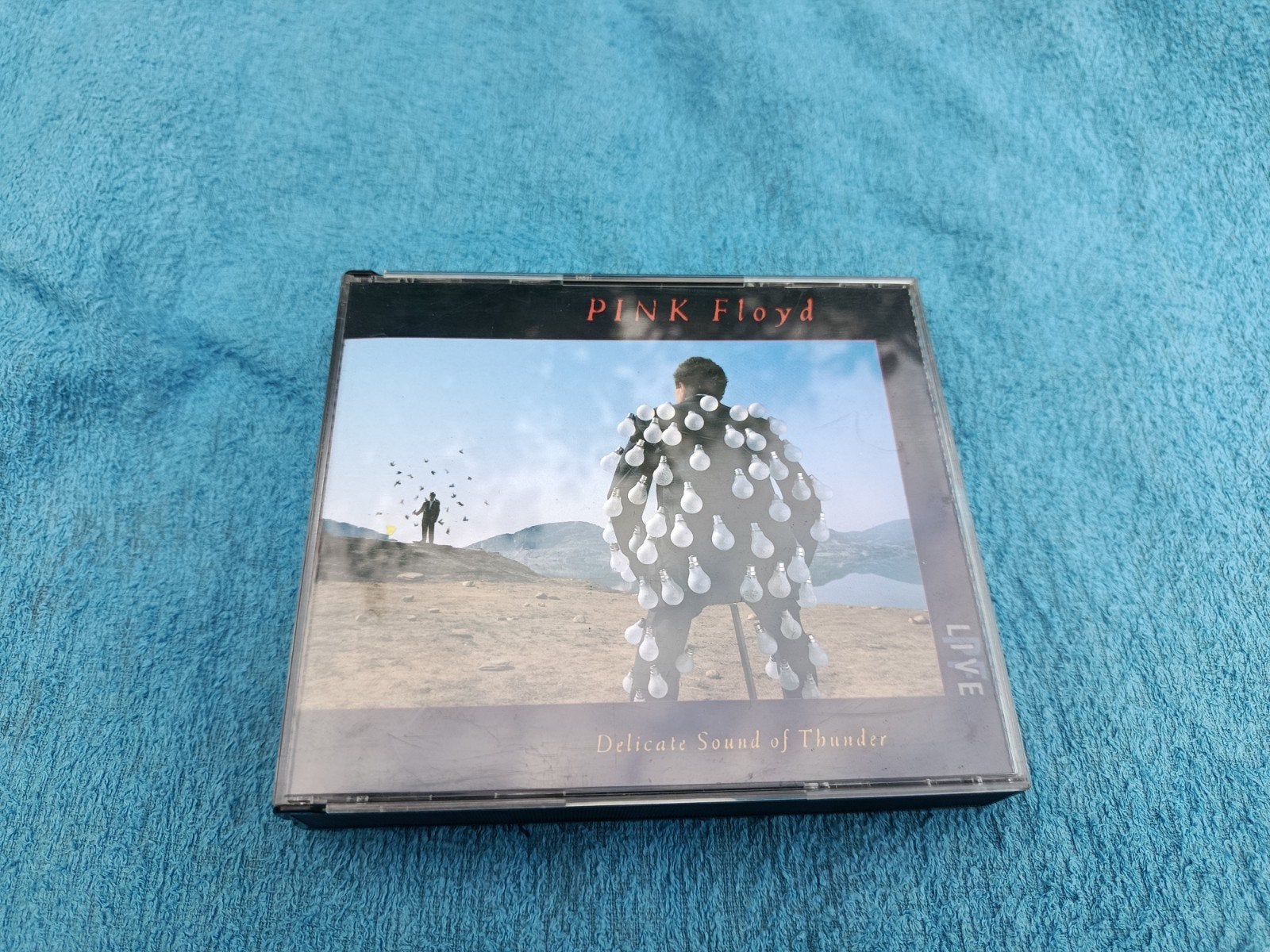 Pink Floyd - Delicate Sound of Thunder 2Cd, Ophalen