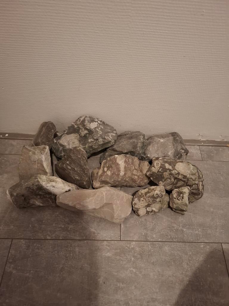 aquarium stee, Tuin en Terras, Grind, Keien en Split, Overige materialen, Gebruikt, Ophalen of Verzenden, Kei