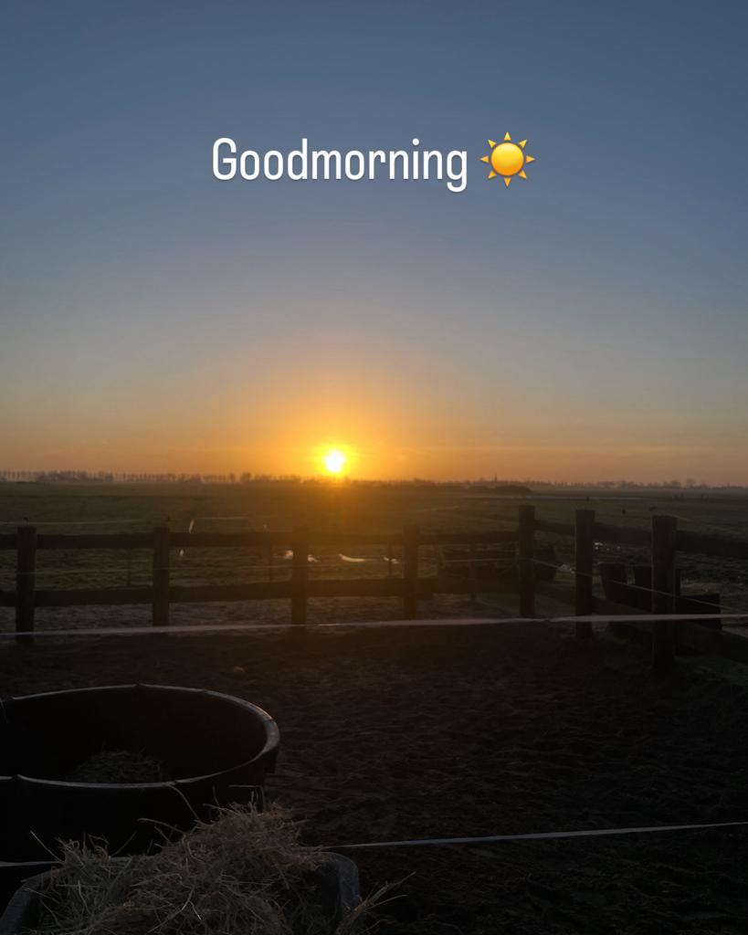 Gezocht weekendhulp voor onze paarden aan huis., Dieren en Toebehoren, Stalling en Weidegang, 4 paarden of pony's of meer