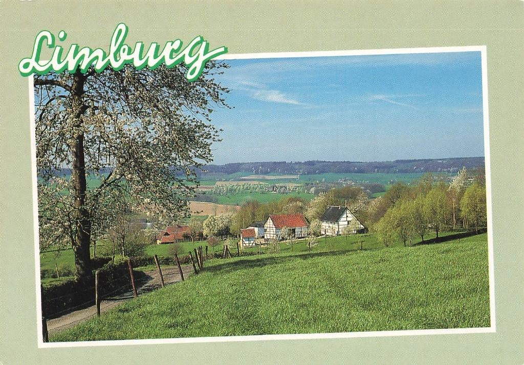 Limburg, Ophalen of Verzenden, 1980 tot heden, Gelopen, Limburg