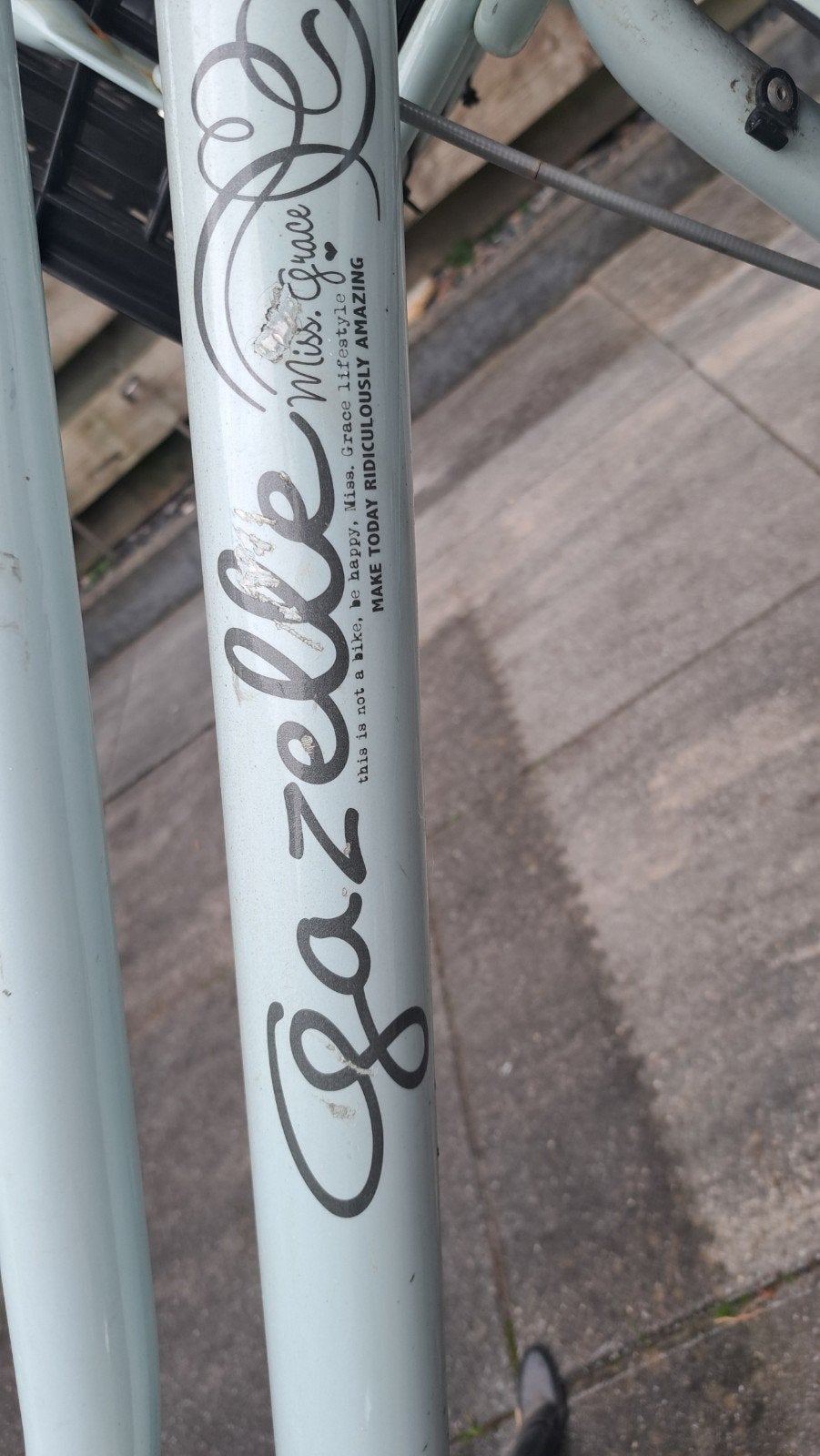 Foto 7 van Dames fiets Gazelle Miss Grace
